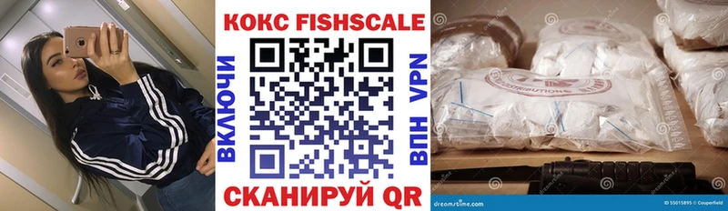 COCAIN Fish Scale  Купить закладки  Сковородино 