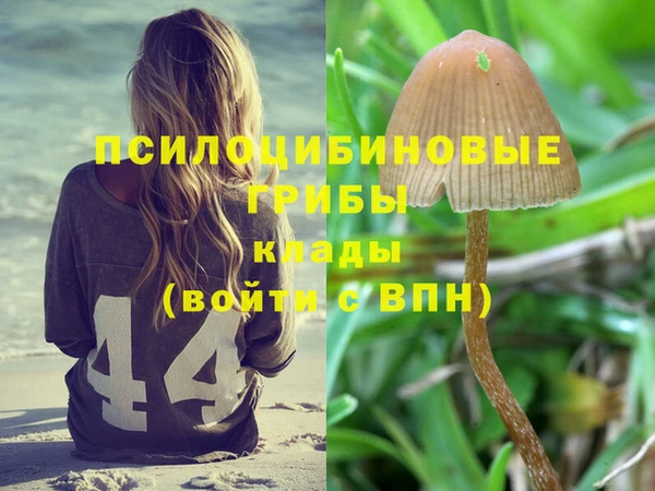 гашиш Аркадак