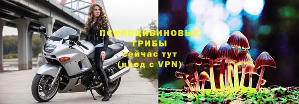гидра Балахна