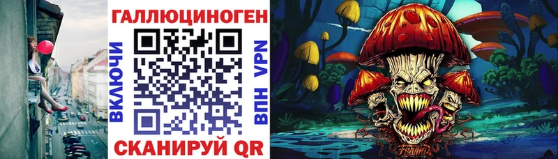 Купить где  Сковородино  Псилоцибиновые грибы прущие грибы 